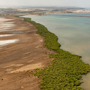 Tales of the Djibouti By Camille Massida